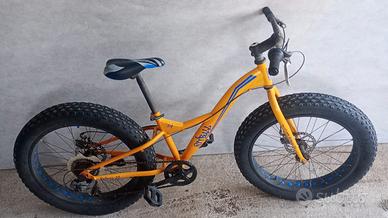 Bici Pitbull 24