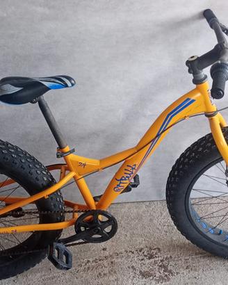 Bici Pitbull 24