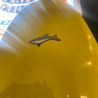 SUP 10,1”x31”JIMMY LEWIS Black and Blue Machine