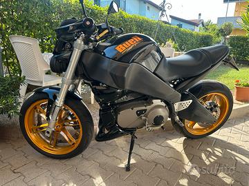 Bull XB12 2004
