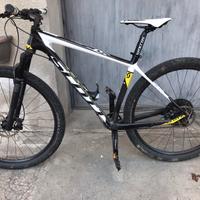 Mtb scott scale