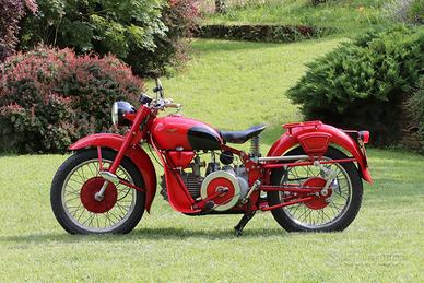Moto Guzzi Falcone, anni '50