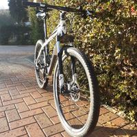 Mtb Specialized Carve