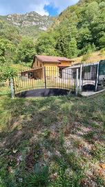 Splendida tenuta restrutturata  196000 mt terreno