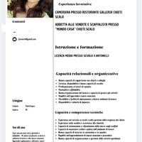 Pulizie/commessa/barista