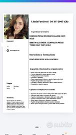 Pulizie/commessa/barista