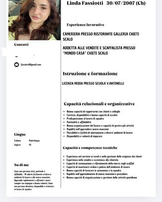 Pulizie/commessa/barista