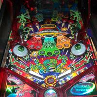 Flipper Revenge from Mars