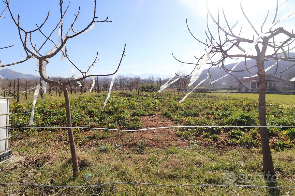 Terreno Residenziale Fontechiari - Vista 3