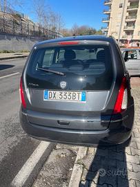 Lancia musa 2009