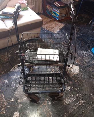 Deambulatore per esterno