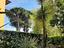 Immagine 24