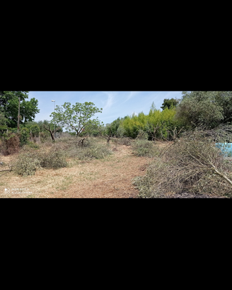 Terreno recintato