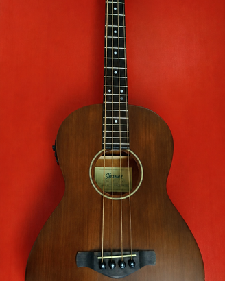 Vintage Acoustic Bass Ibanez AVNB1E-BV Artwood