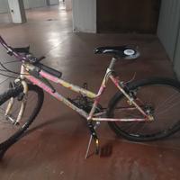 Mountain bike usata