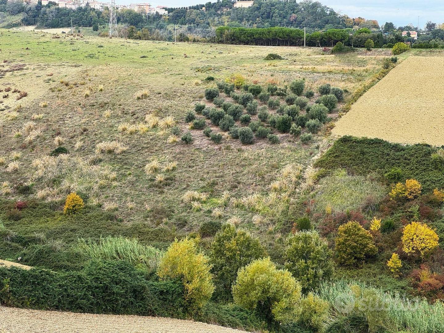 Terreno - Altidona - Vista 2