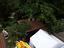 Immagine 29
