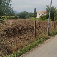 Vila con terreno agricolo