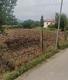 Vila con terreno agricolo
