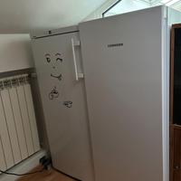 frigorifero e frizer linea Liebherr