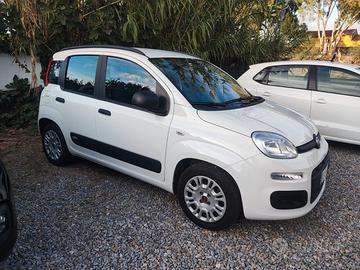 Fiat Panda 1.0 FireFly S&S Hybrid Launch Edition