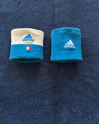 Polsini