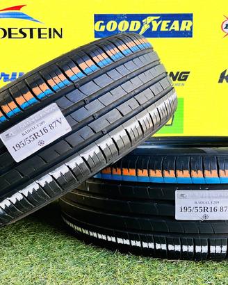 X2: Estive 195/55R16 87V -MINERVA- al 83%