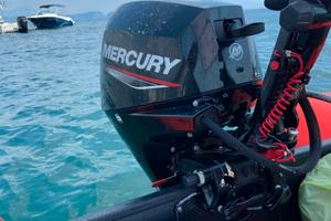 Gommone con motore