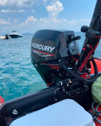 Gommone con motore