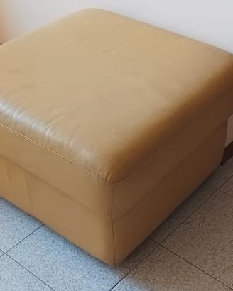 divani in pelle 
