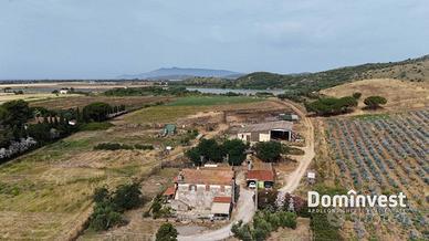 Rustico / Casale di 1000 m² con 5 locali a Capalbi