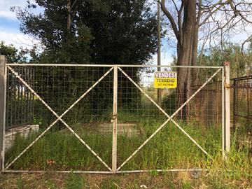 Terreno agricolo in Cellole (CE)