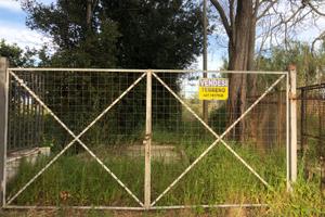 Terreno agricolo in Cellole (CE)