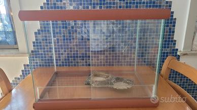 Terrario Legno e Vetro 50x32x40 cm + Accessori 