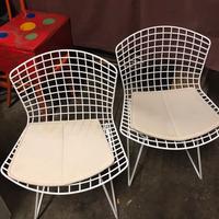 2 sedie Knoll Bertoia usate perfette