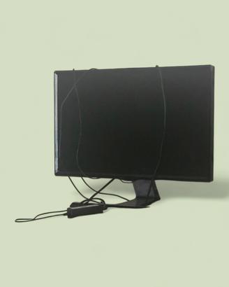 Monitor Samsung 24 pollici