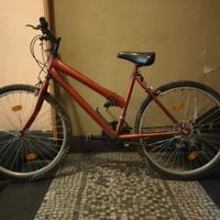 mountain bike uomo bicicletta 