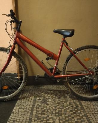 mountain bike uomo bicicletta 