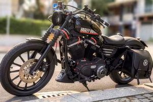Harley davidson 883