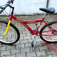 Bicicletta