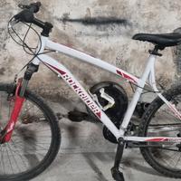 Bici 26