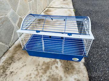 Gabbia coniglio nano domestico.