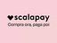 Immagine 3