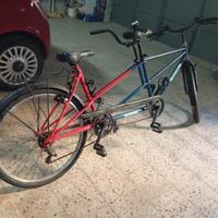 BICI TANDEM 