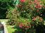 Immagine 27