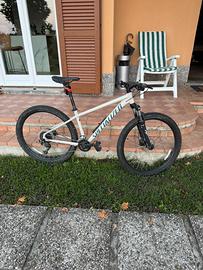 Bicicletta mtb specialized