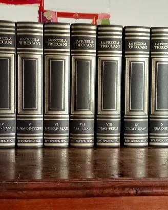 Enciclopedia La Piccola Treccani 14 Volumi