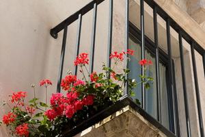 Casetta nel Centro Storico