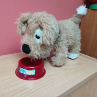 Cagnolino che beve l'acqua e fa la pipì