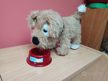 Cagnolino che beve l'acqua e fa la pipì